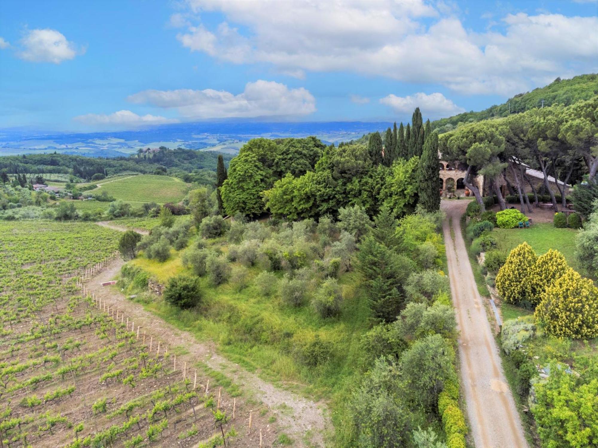 Apartment Cellole - Cellole 2 - Ctc151 By Interhome Castellina in Chianti Exterior photo